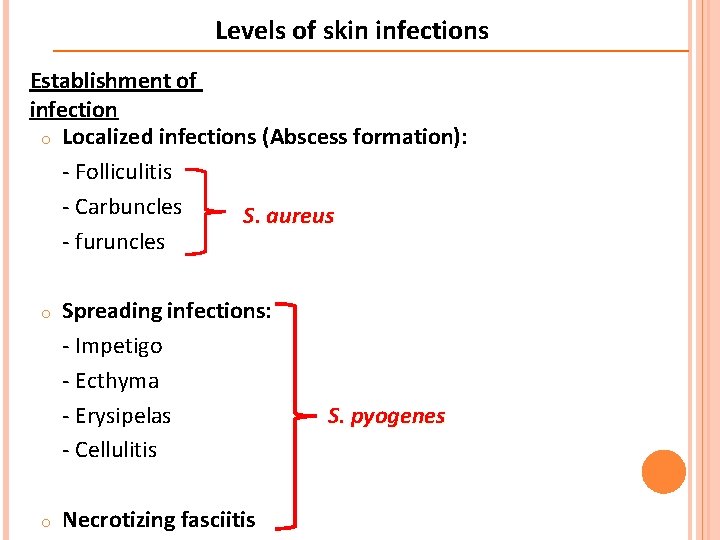 Levels of skin infections Establishment of infection o Localized infections (Abscess formation): - Folliculitis