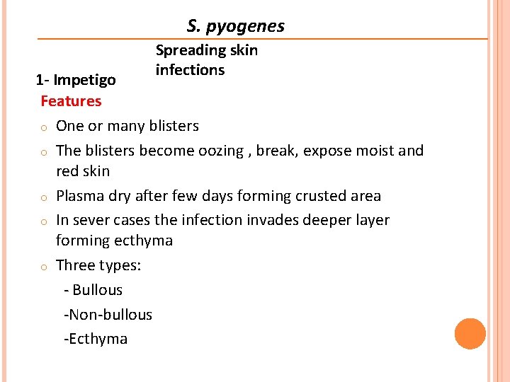 S. pyogenes Spreading skin infections 1 - Impetigo Features o One or many blisters
