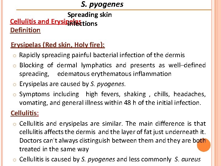 S. pyogenes Spreading skin Cellulitis and Erysipelas infections Definition Erysipelas (Red skin, Holy fire):
