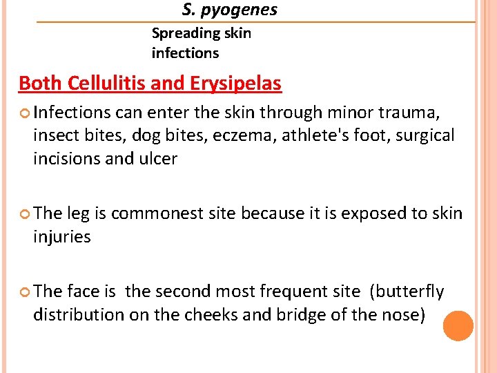 S. pyogenes Spreading skin infections Both Cellulitis and Erysipelas Infections can enter the skin