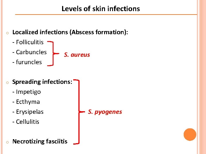 Levels of skin infections o Localized infections (Abscess formation): - Folliculitis - Carbuncles S.