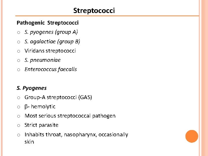 Streptococci Pathogenic Streptococci o S. pyogenes (group A) o S. agalactiae (group B) o
