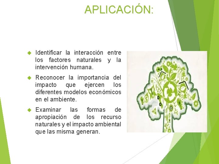 APLICACIÓN: Identificar la interacción entre los factores naturales y la intervención humana. Reconocer la