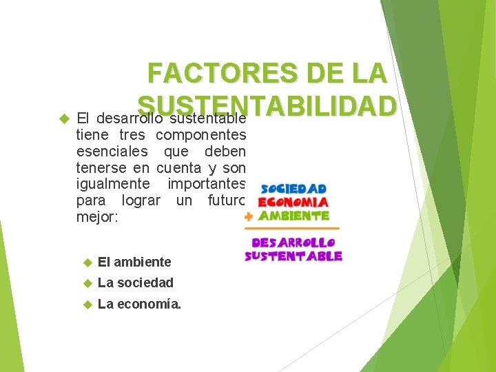 FACTORES DE LA SUSTENTABILIDAD El desarrollo sustentable tiene tres componentes esenciales que deben tenerse