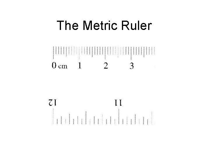 The Metric Ruler 