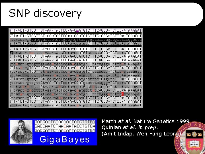 SNP discovery Marth et al. Nature Genetics 1999 Quinlan et al. in prep. (Amit