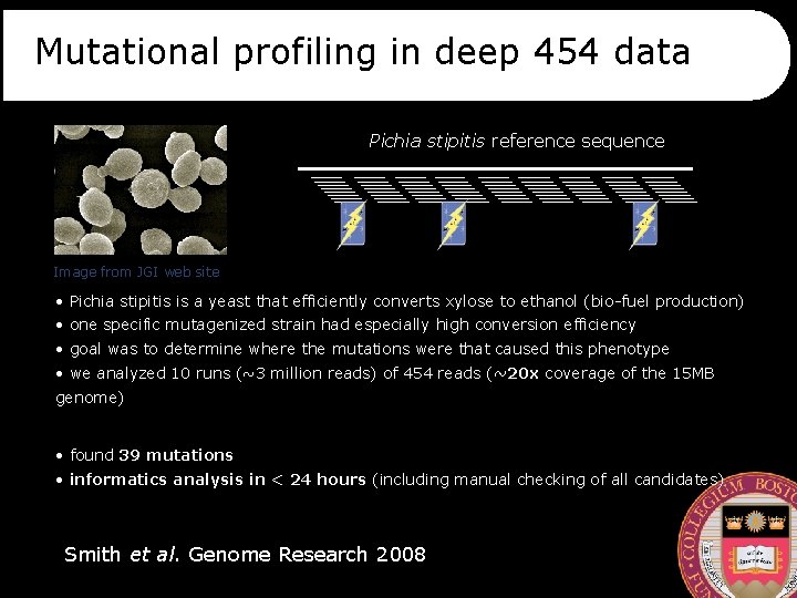 Mutational profiling in deep 454 data Pichia stipitis reference sequence Image from JGI web