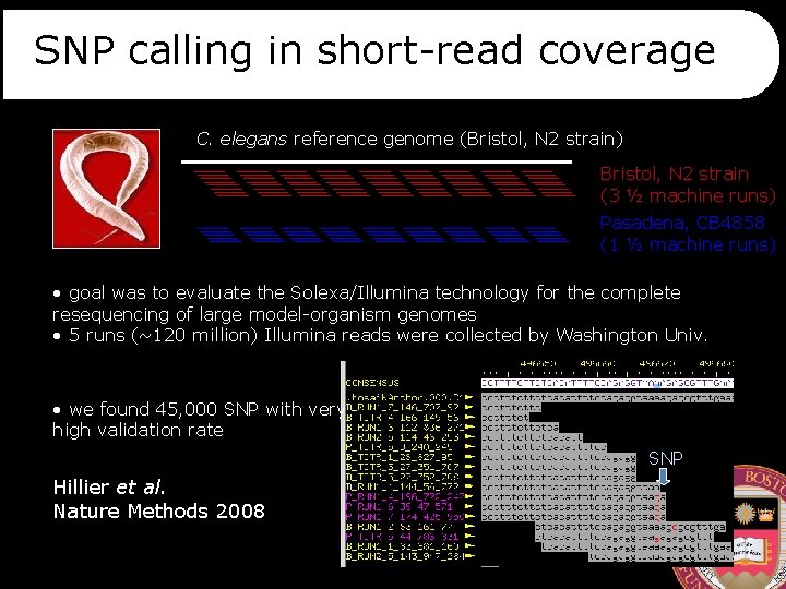 SNP calling in short-read coverage C. elegans reference genome (Bristol, N 2 strain) Bristol,