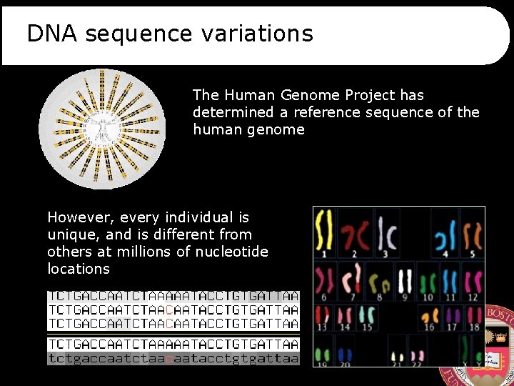 DNA sequence variations The Human Genome Project has determined a reference sequence of the