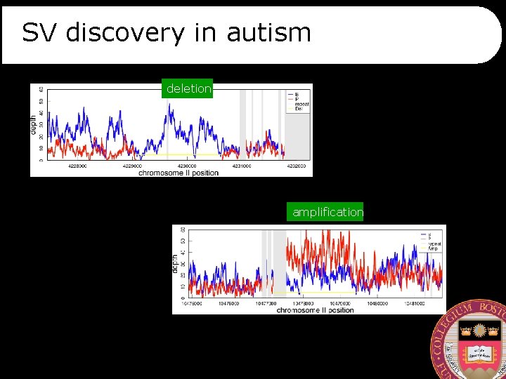 SV discovery in autism deletion amplification 