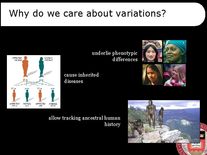 Why do we care about variations? underlie phenotypic differences cause inherited diseases allow tracking