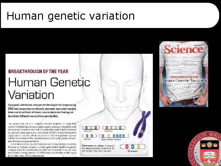 Human genetic variation 4 