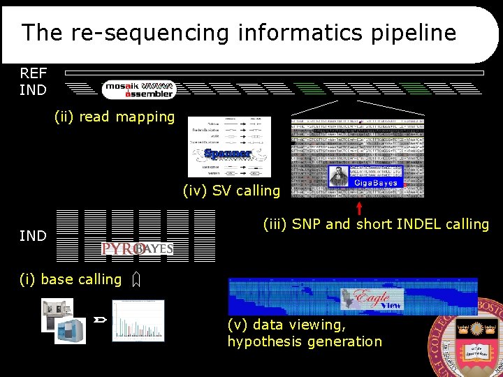 The re-sequencing informatics pipeline REF IND (ii) read mapping (iv) SV calling IND (iii)