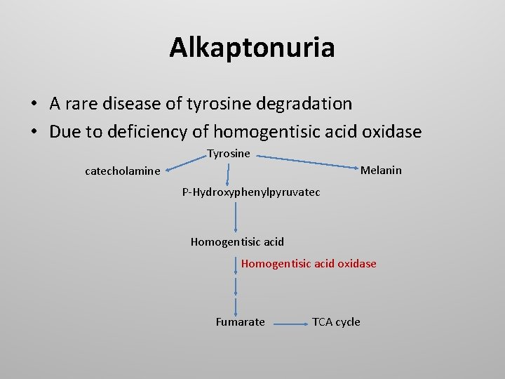 Alkaptonuria • A rare disease of tyrosine degradation • Due to deficiency of homogentisic