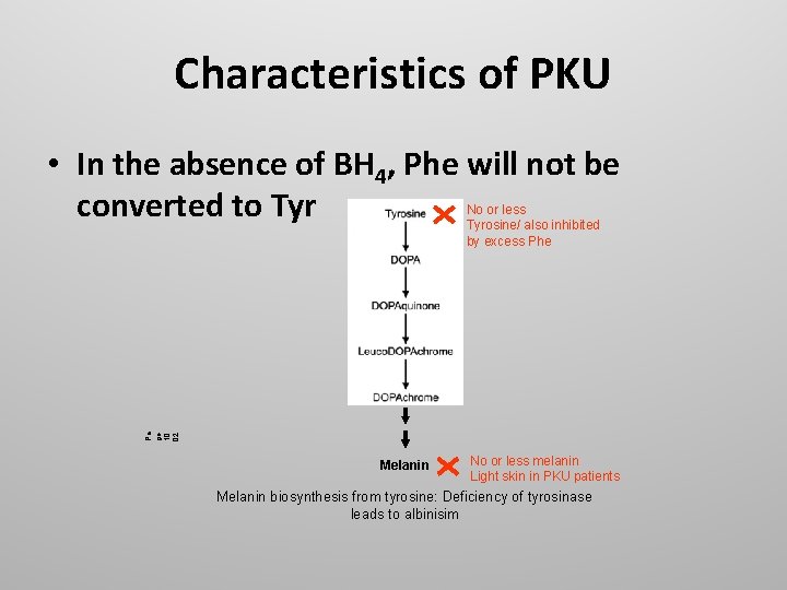 Characteristics of PKU • In the absence of BH 4, Phe will not be