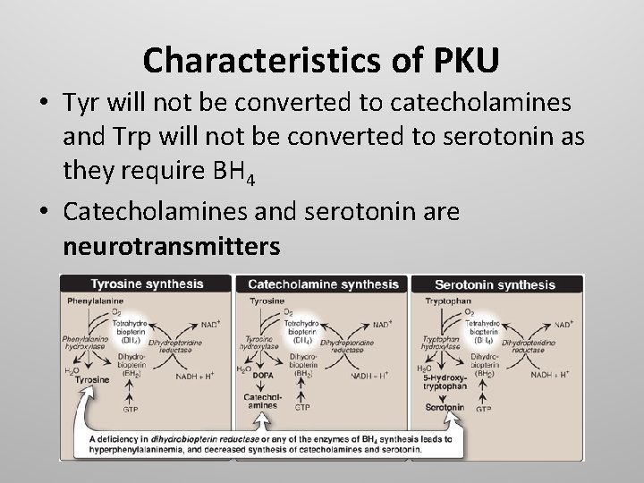 Characteristics of PKU • Tyr will not be converted to catecholamines and Trp will
