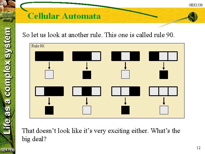 GEK 1530 Cellular Automata So let us look at another rule. This one is