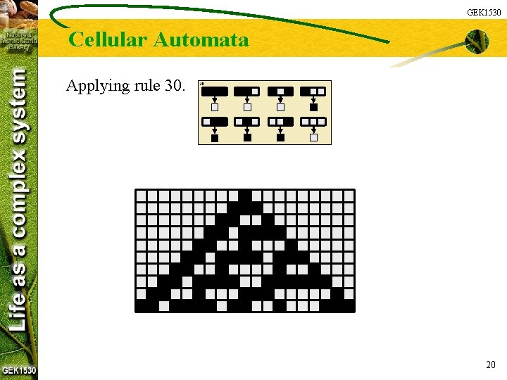 GEK 1530 Cellular Automata Applying rule 30. 30: 20 