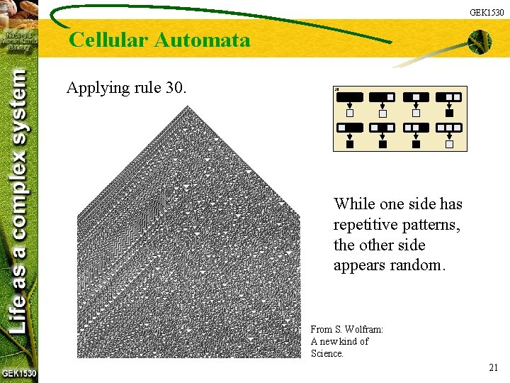 GEK 1530 Cellular Automata Applying rule 30. 30: While one side has repetitive patterns,