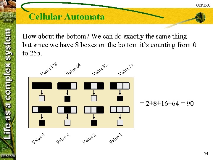 GEK 1530 Cellular Automata How about the bottom? We can do exactly the same