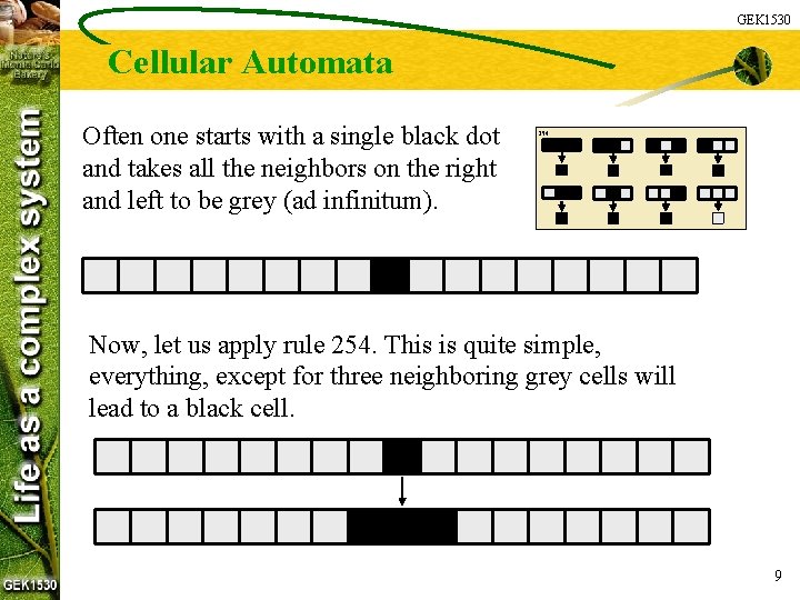 GEK 1530 Cellular Automata Often one starts with a single black dot and takes