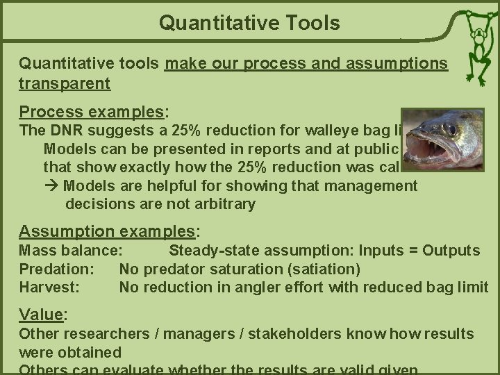 Quantitative Tools Quantitative tools make our process and assumptions transparent Process examples: The DNR