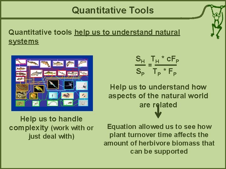 Quantitative Tools Quantitative tools help us to understand natural systems SH TH * c.