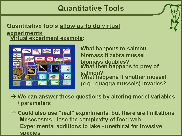 Quantitative Tools Quantitative tools allow us to do virtual experiments Virtual experiment example: What