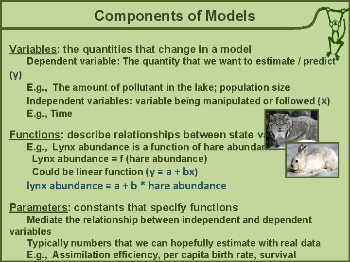 Components of Models Variables: the quantities that change in a model (y ) Dependent