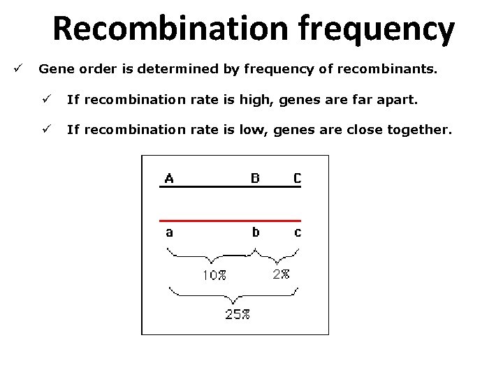Recombination frequency ü Gene order is determined by frequency of recombinants. ü If recombination