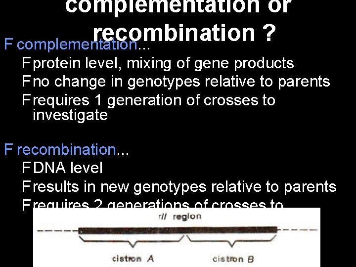 complementation or recombination ? F complementation. . . F protein level, mixing of gene