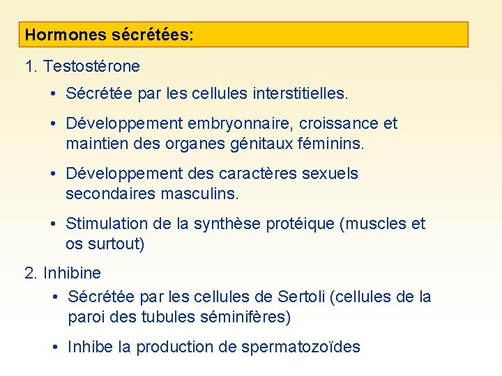 Hormones sécrétées: 1. Testostérone • Sécrétée par les cellules interstitielles. • Développement embryonnaire, croissance