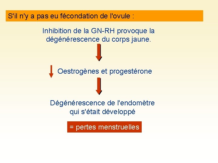 S'il n'y a pas eu fécondation de l'ovule : Inhibition de la GN-RH provoque