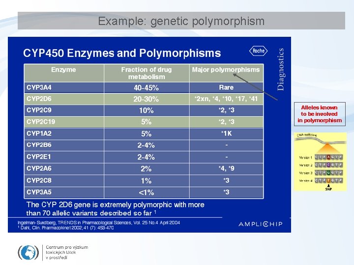 Example: genetic polymorphism Alleles known to be involved in polymorphism 