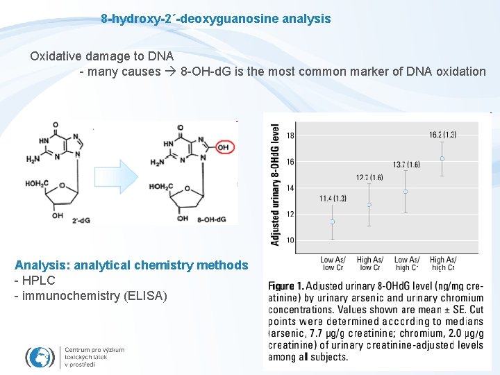 8 -hydroxy-2´-deoxyguanosine analysis Oxidative damage to DNA - many causes 8 -OH-d. G is