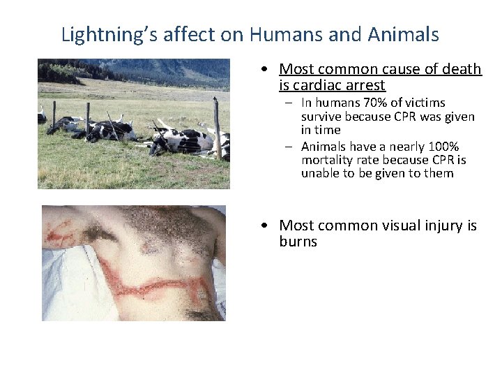 Lightning’s affect on Humans and Animals • Most common cause of death is cardiac