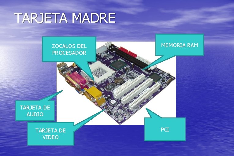 TARJETA MADRE ZOCALOS DEL PROCESADOR MEMORIA RAM TARJETA DE AUDIO TARJETA DE VIDEO PCI