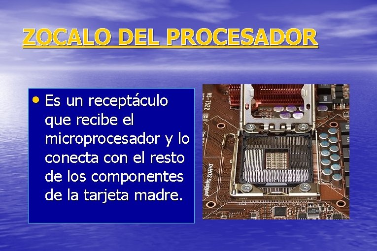 ZOCALO DEL PROCESADOR • Es un receptáculo que recibe el microprocesador y lo conecta