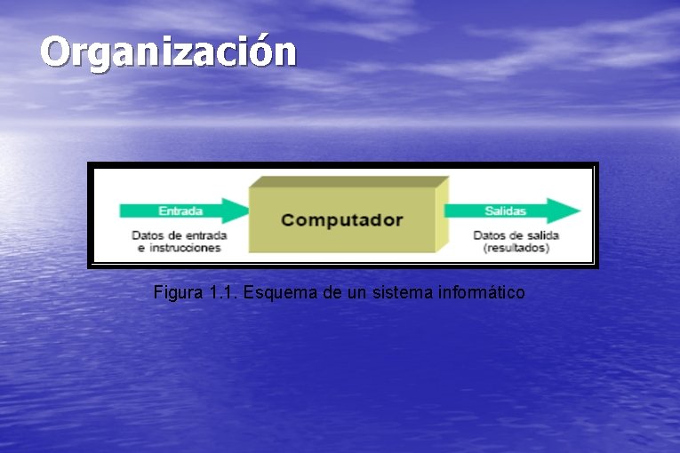 Organización Figura 1. 1. Esquema de un sistema informático 