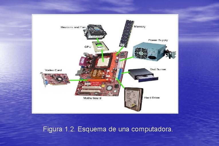 Figura 1. 2. Esquema de una computadora. 