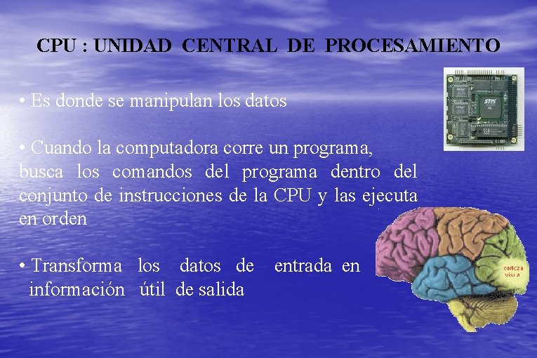 CPU : UNIDAD CENTRAL DE PROCESAMIENTO • Es donde se manipulan los datos •