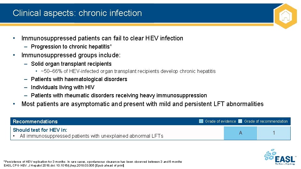 Clinical aspects: chronic infection • Immunosuppressed patients can fail to clear HEV infection –