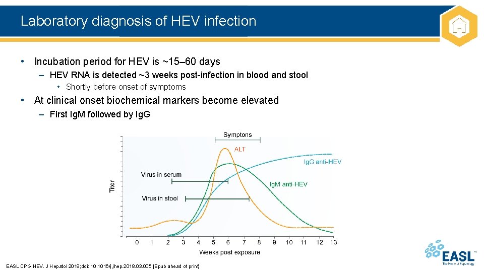 Laboratory diagnosis of HEV infection • Incubation period for HEV is ~15– 60 days