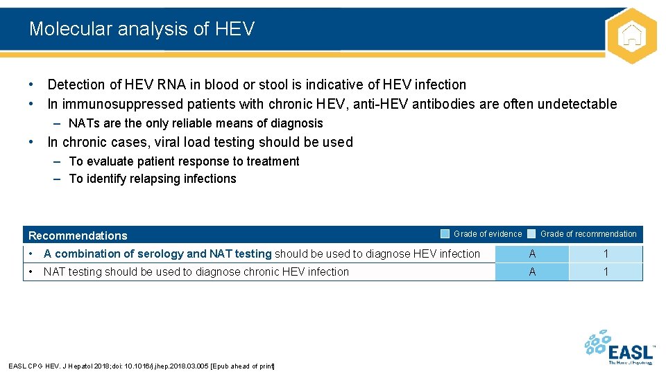 Molecular analysis of HEV • Detection of HEV RNA in blood or stool is