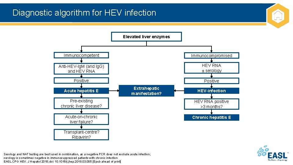 Diagnostic algorithm for HEV infection Elevated liver enzymes Immunocompetent Immunocompromised Anti-HEV-Ig. M (and Ig.