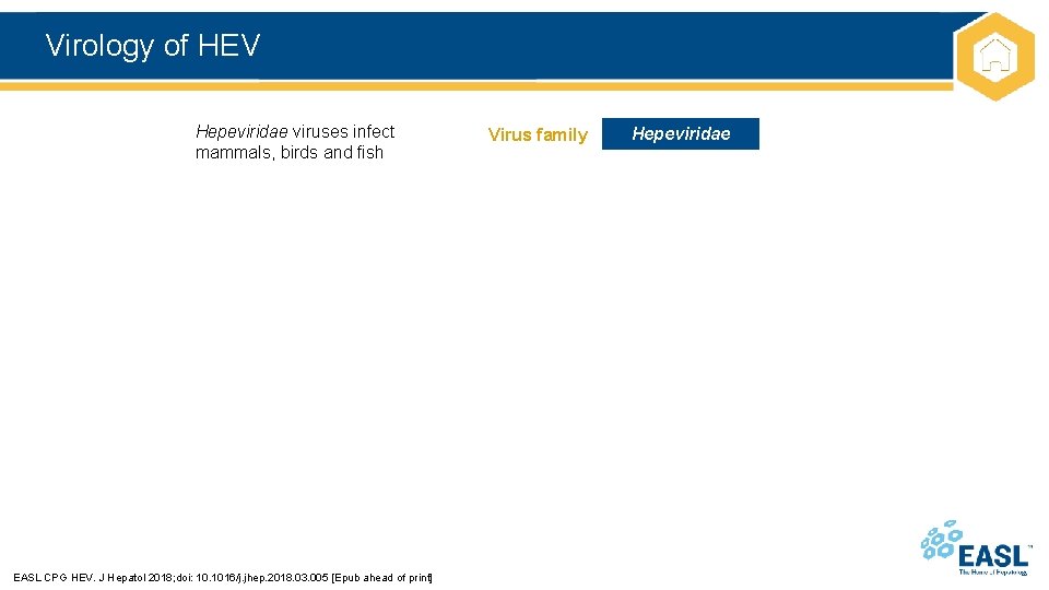 Virology of HEV Hepeviridae viruses infect mammals, birds and fish EASL CPG HEV. J