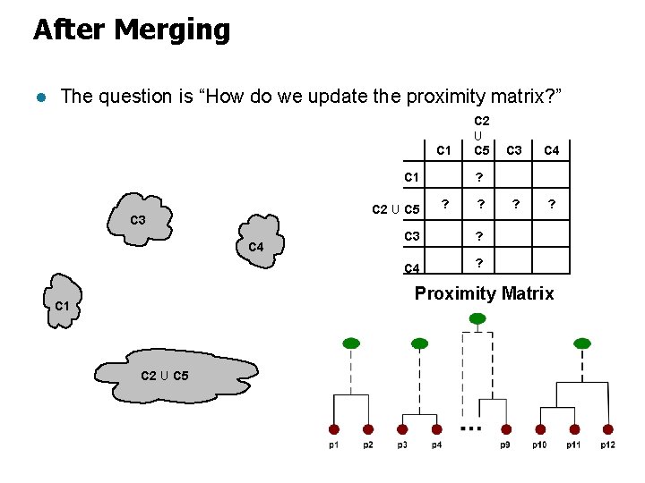 After Merging l The question is “How do we update the proximity matrix? ”