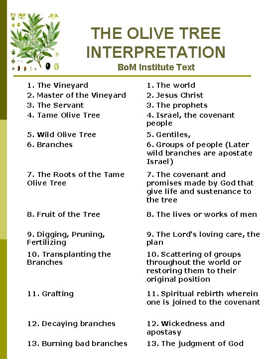 THE OLIVE TREE INTERPRETATION Bo. M Institute Text 1. 2. 3. 4. The Vineyard