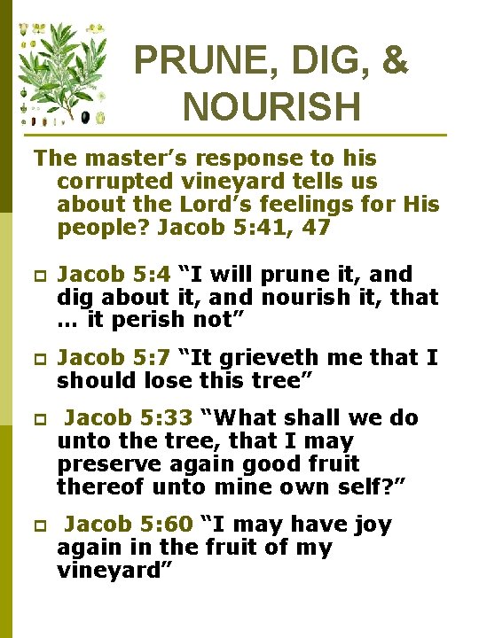 PRUNE, DIG, & NOURISH The master’s response to his corrupted vineyard tells us about