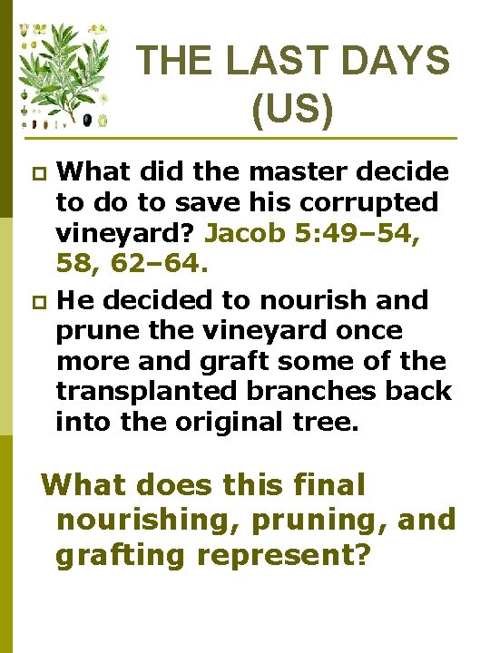 THE LAST DAYS (US) What did the master decide to do to save his